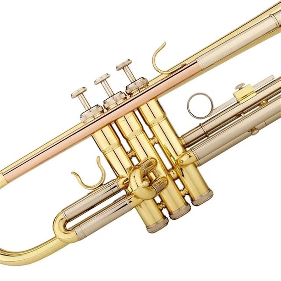 フラワー・トラベリン・バンドとオートバイ50台 / ビームで貫通 フラワー・トラベリン・バンドとオートバイ50台 / ビームで貫通